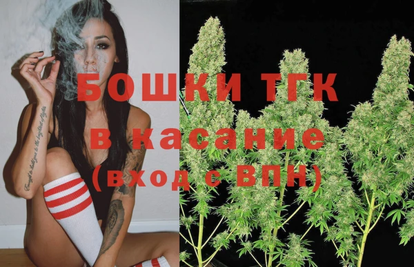 дурь Магас