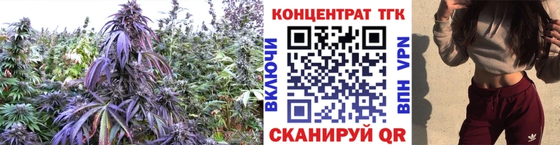 ТГК THC oil  Подольск 
