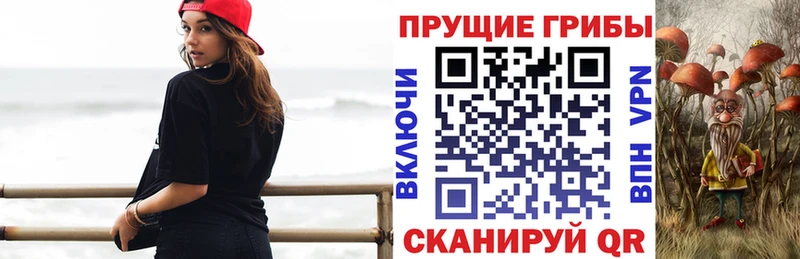 сколько стоит  Подольск  Галлюциногенные грибы Psilocybine cubensis 